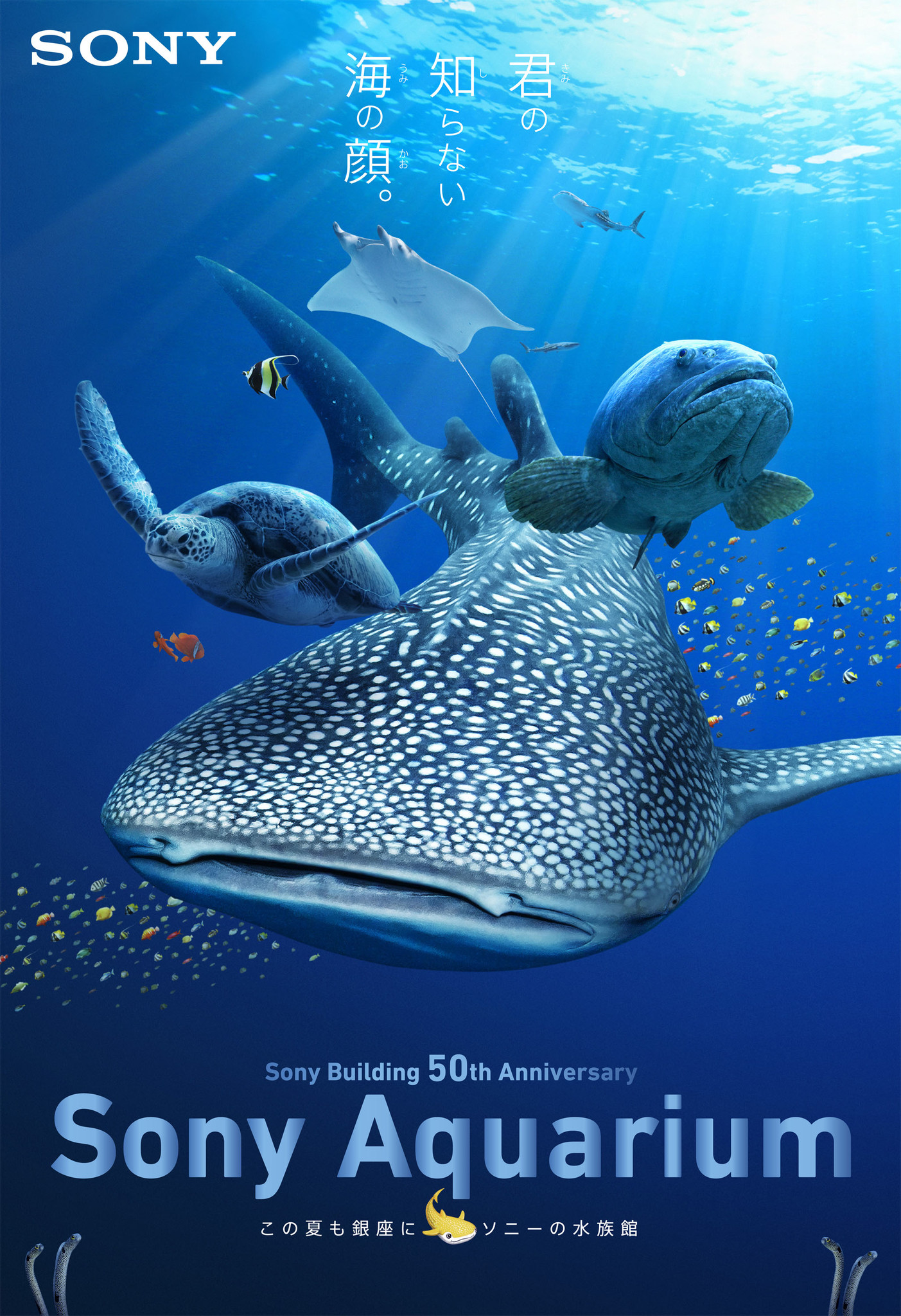 沖縄 美ら海 の魚たちが泳ぎ回る 銀座の夏の風物詩 Sony Building 50th Anniversary Sony Aquarium 開催 この夏も銀座にソニーの水族館 ソニー企業株式会社のプレスリリース