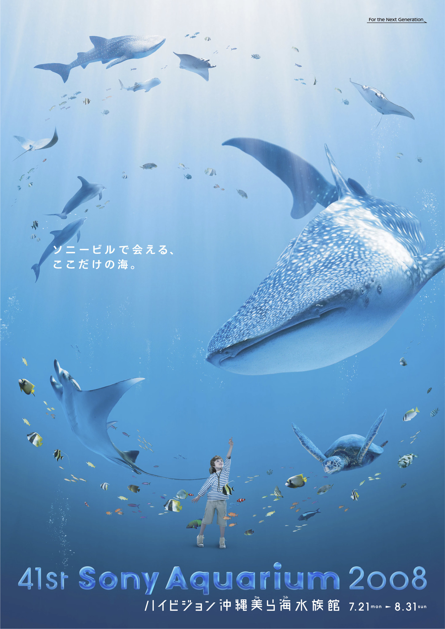 41st Sony Aquarium 08 銀座 ソニービルで沖縄の 美ら海 を探検しよう ソニー企業株式会社のプレスリリース