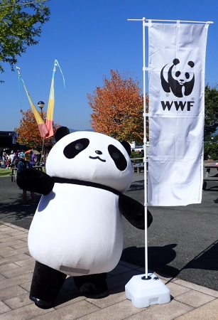 ©WWF Japan