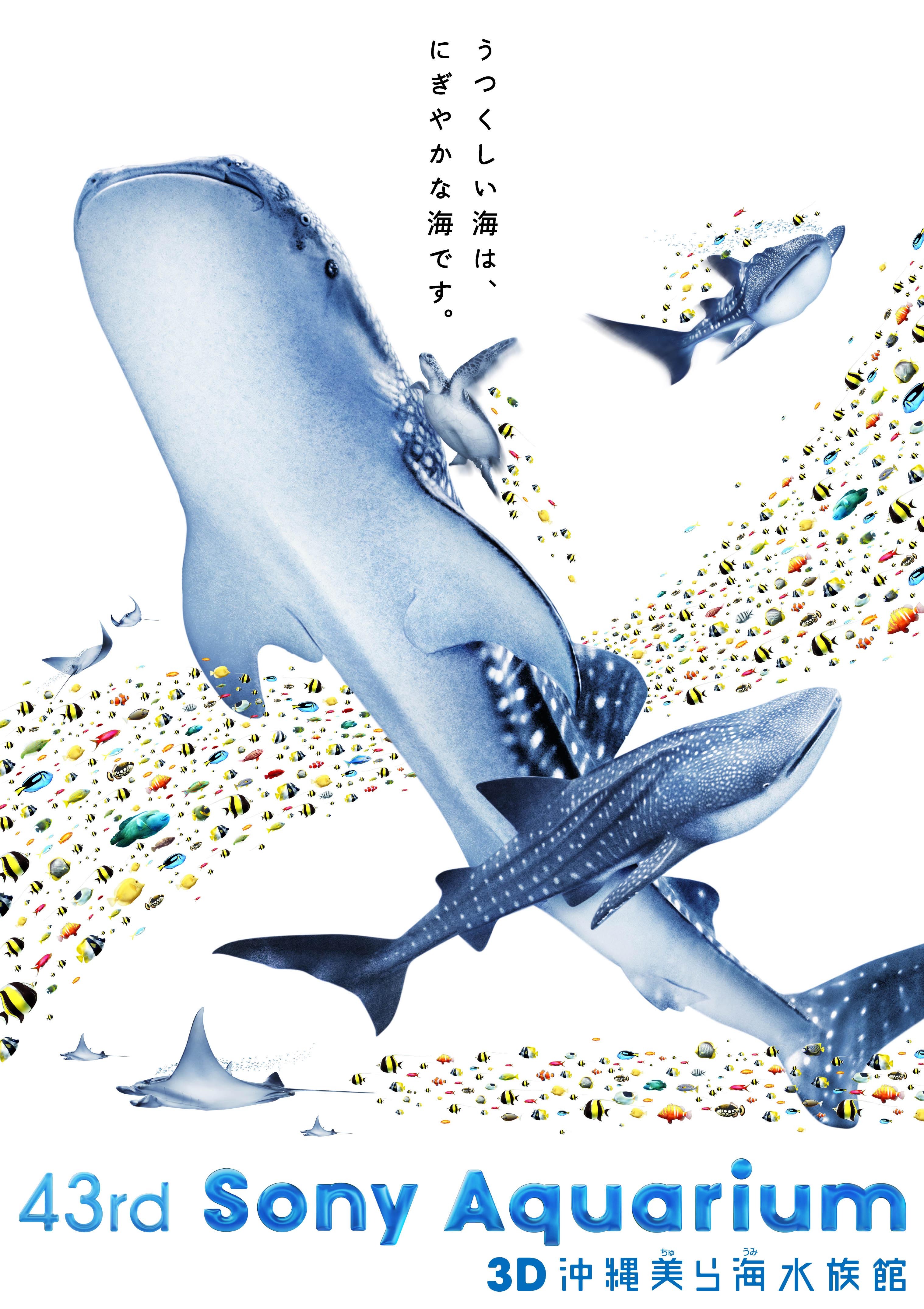 沖縄美ら海水族館のジンベエザメやマンタの3d映像が 銀座 ソニービル