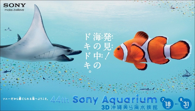 今年も銀座に美ら海の魚が登場！ 「44th Sony Aquarium -3D 沖縄美ら海 