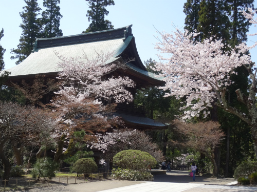 鎌倉「円覚寺」