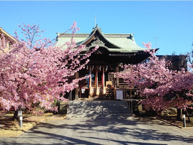 古式神道「桜神宮」
