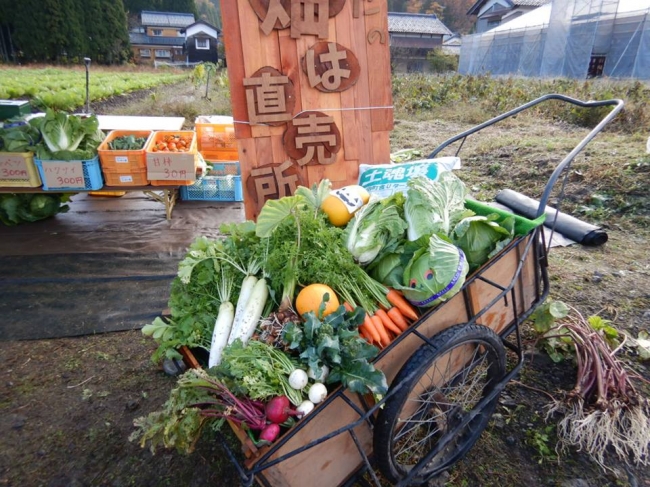 食と文化と紅葉を楽しみに福井県池田町へ！「いけだ食の文化祭」開催