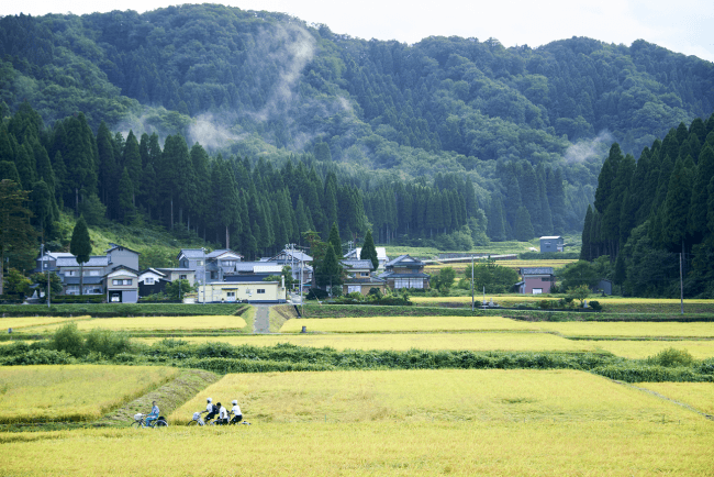 池田 町 県 福井