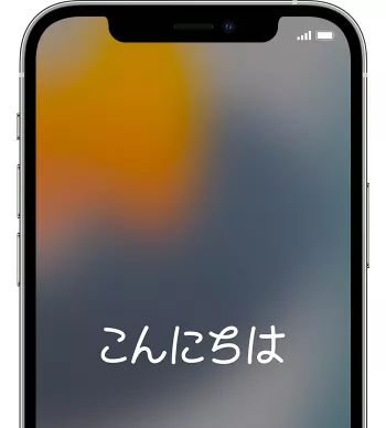 iPhone 初期化できたか確認したい?初期化方法と確認画面について - ReiBoot for iOS|株式会社Tenorshareのプレスリリース