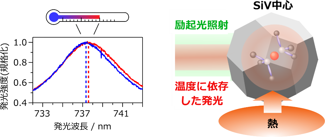 世界最小粒径のナノダイヤモンド温度計測に成功 株式会社ダイセルのプレスリリース