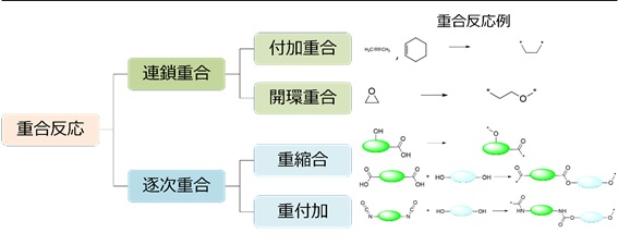 図1. SMiPolyに実装されている高分子重合反応ルール集合