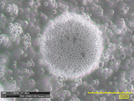 ピッカリングエマルションの光学顕微鏡画像。「BELLOCEA(R)」が乳化液滴の周りに配列し、ピッカリングエマルションを形成しています。