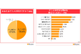 BEENOS、海外ファンの「アニメ視聴の実態調査」を発表