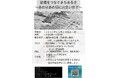 【ふじみ野市まちあるき企画】文京学院大学人間学部生が企画・立案「記憶をつなぐまちあるき~あの日 あの頃に出会い直す~」 11月23日(土・祝)開催