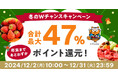 au PAY ふるさと納税、抽選で最大30%ポイント還元する「冬のWチャンスキャンペーン」を12月2日から12月31日まで開催