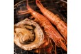 【7月28日（火）開始】牡蠣・赤海老の浜焼き食べ放題＆あて巻きと海老しゃぶ食べ放題が新登場！海鮮酒場「なみ小屋」で贅沢な食べ飲み放題を提供開始