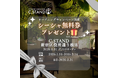 【C.STAND新宿区役所通り横店が1月31日オープン!】シーシャ無料キャンペーン実施!