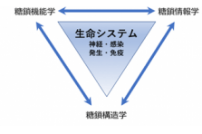 創価大学の経済学部理論同好会が経済学検定試験 Ere 大学対抗戦 において6年振り12回目の日本一に 学校法人創価大学のプレスリリース 創価大学の経済学部理論同好会が経済学検定試験 Ere 大学対抗戦 において6年振り12回目の日本一に 学校法人創価大学のプレスリリース