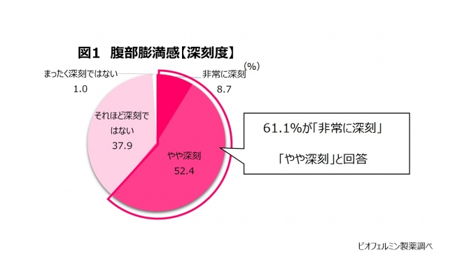 図１ビオフェルミン製薬調べ