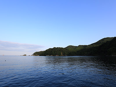 釜石の海