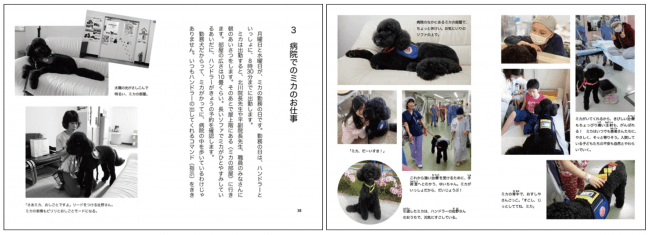 大学病院で職員として働く犬がいるって知ってる ずっとずっと ともだちだよ 病院勤務犬 ミカの物語 発売 株式会社 岩崎書店のプレスリリース