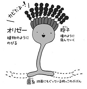 日本の国菌 オリゼー って何だ 和食をささえるふしぎなカビを探る児童向けノンフィクション 発売 企業リリース 日刊工業新聞 電子版