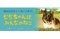 【新刊情報】「地域ねこ」を通じて、命の大切さを考える、実話をもとにした絵童話『ななちゃんは、みんなのねこ』(今西乃子・作/ひろみちいと・絵)発売!