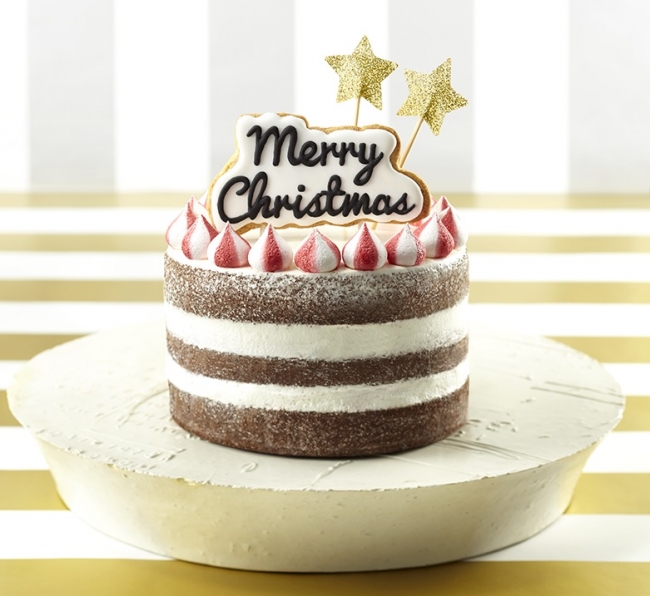 約50種がずらり パーティー気分を盛り上げる クリスマスケーキ 予約受付スタート 企業リリース 日刊工業新聞 電子版