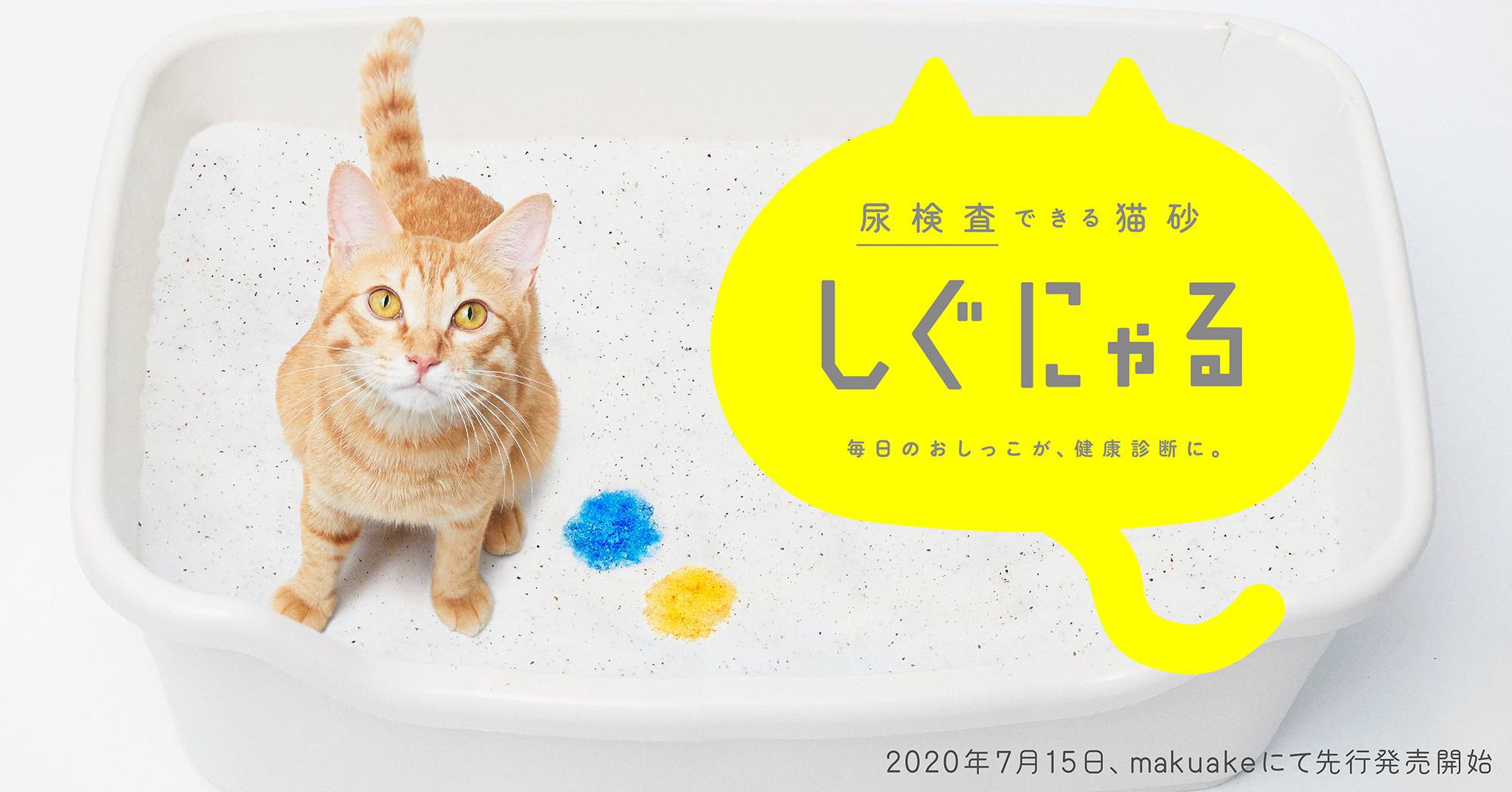 愛猫の変化を早期発見 毎日のおしっこが 健康管理に 尿の状態により5色に変化する猫砂 しぐにゃる Makuakeにて7月15日先行販売開始 株式会社スリーズのプレスリリース