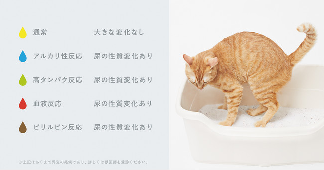 毎日のおしっこが、愛猫の健康管理に。尿の成分に応じて色が変化する 