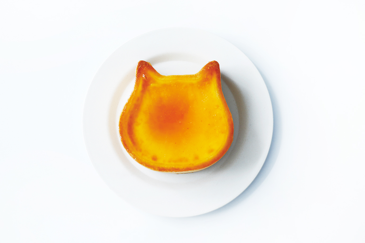 おうちカフェにぴったり ねこの形のチーズケーキ専門店 ねこねこチーズケーキ が8月21日 金 より千葉県 三重県に登場 株式会社オールハーツ カンパニーのプレスリリース