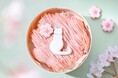 【お花見スイーツ】「ピネード」より、ねこ型のクッキーを添えた『さくらのプチモンブラン(ねこ)』をはじめ、春を華やかに彩る苺と桜をテーマにしたスイーツが新登場!