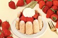 【苺が主役のご褒美シャルロット】「パティスリーピネード」よりフレッシュな国産苺＆まろやかなバニラムースで仕上げた『苺のシャルロット』が新登場！“サクッ＆ふんわり”食感を楽しめる春の新作スイーツ！