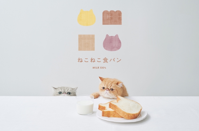 ねこねこ 食パン 名古屋