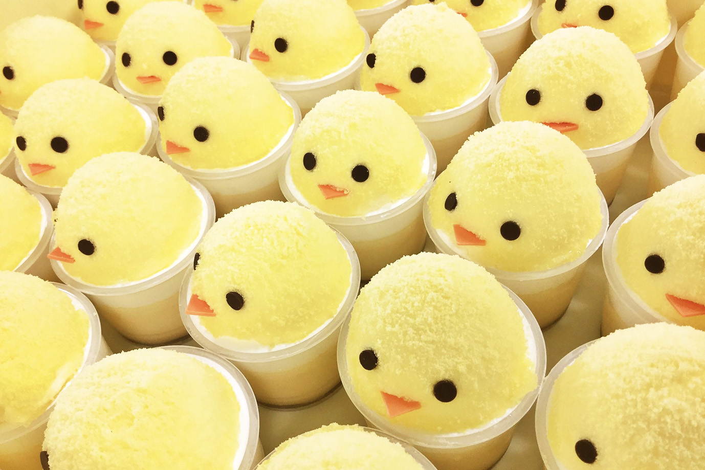 パステルひよこ春仕様❤