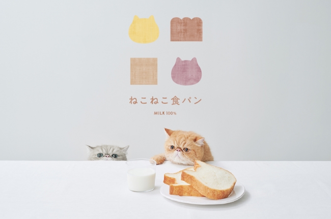ねこの形の高級食パン専門店 ねこねこ食パン が愛知県 豊田市に登場 株式会社オールハーツ カンパニーのプレスリリース
