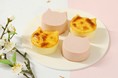 【お正月におすすめなギフトスイーツ！】ねこねこチーズケーキより、人気商品「にゃんチー」がお正月向けのセットで登場いたします。