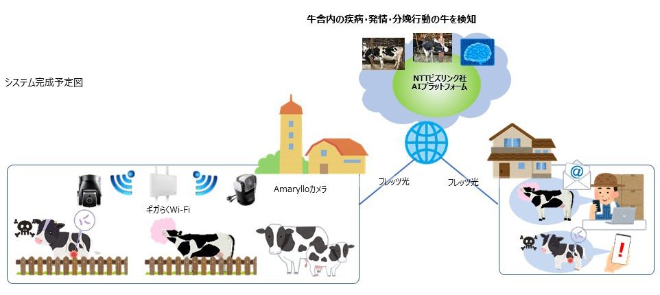 映像データを活用した牛の健康管理に関するai動画像解析実証実験を開始します Nttビズリンクのプレスリリース