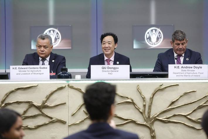 FAO、2020年の「国際植物防疫年」を開始