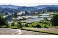 日本とイタリアにおける新たな世界農業遺産の認定により、認定地域数が100を突破