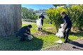 沖縄全島エイサーまつり後の清掃ボランティア参加のご報告