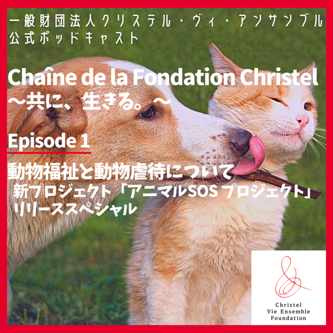 Chaîne de la Founcation Christel ～共に、生きる。～ Eps.1