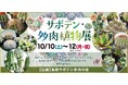 サボテン・多肉植物展を開催いたします！