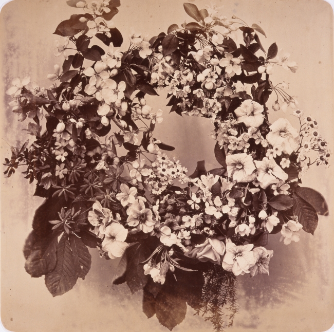 アドルフ・ブラウン《「装飾のための花の習作集成」より》1853年