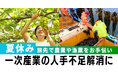 【夏休み】生産者として働いて"お得”に旅行|農業・漁業の人手不足解消にも「おてつたび」