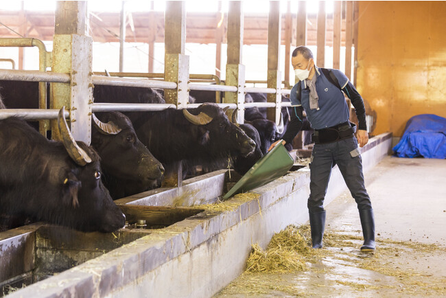 KURKKU FIELDS/クルックフィールズ(千葉県)の牧場からオンライン配信 KURKKU FIELDS/クルックフィールズ(千葉県)の牧場からオンライン配信