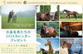 引退名馬たちの2026年カレンダーをプレゼント（タニノギムレット／ローズキングダム／グランプリボス／ビービーガルダン／アドマイヤジャパン／ダンスディレクター）