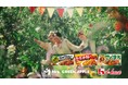 ミセスロゴのスペシャルカレーが登場!ハウス食品×Mrs. GREEN APPLE 新TVCM ハウスカレー「不思議なカレーパーティー」夏篇・秋篇 公開