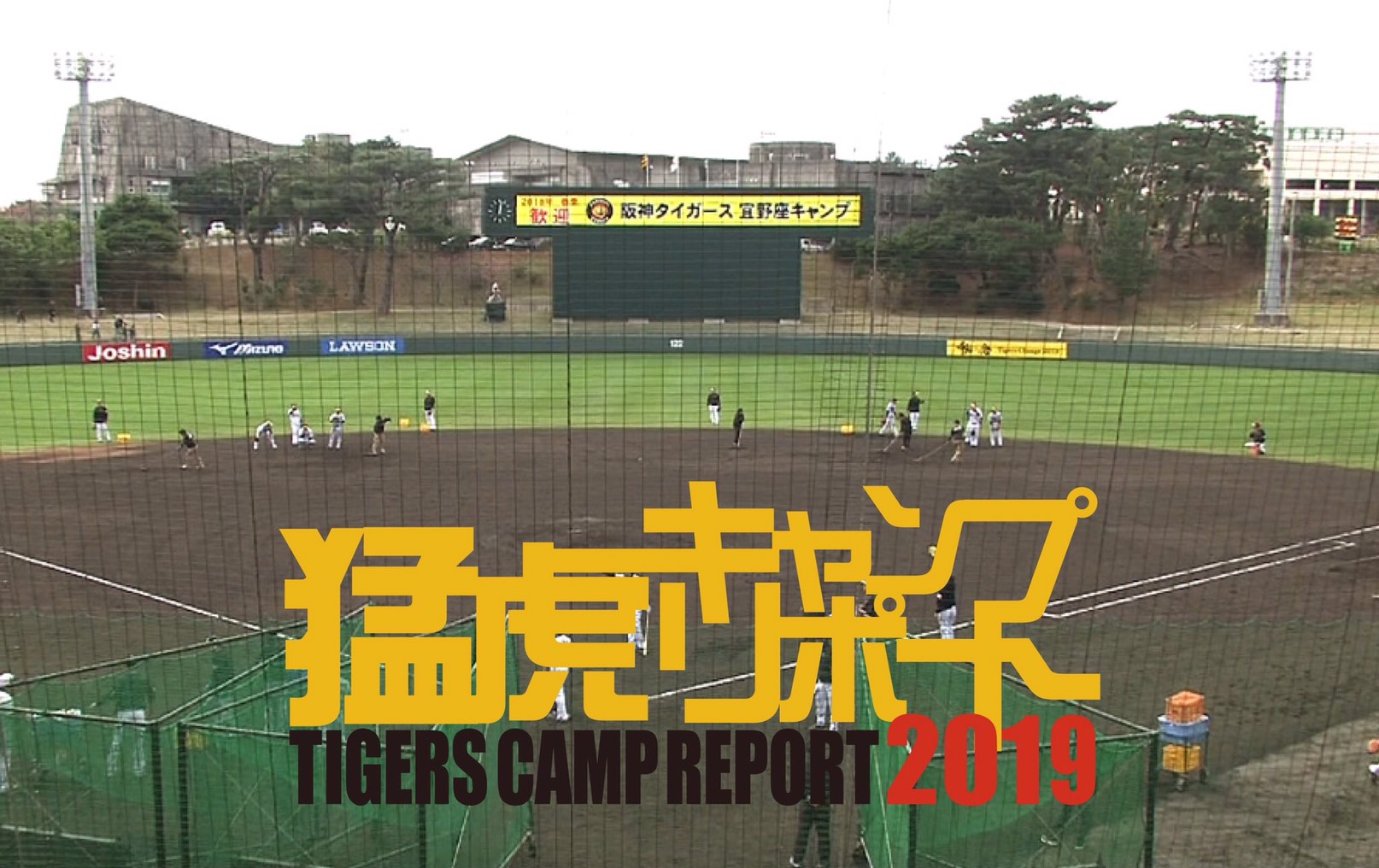 阪神タイガース春季キャンプの無料live配信が決定 スカイａのプレスリリース