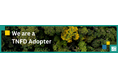 TNFD Adopter へ登録し、TNFD提言に基づく情報を開示