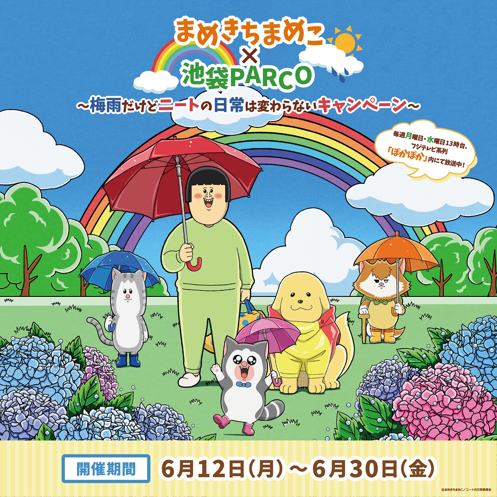 まめきち 新潟 – 自家焙煎珈琲 まめきち – QGBRJR