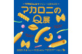 クイズで振り返る!マカロニえんぴつデビュー10周年記念した展覧会『マカロニえんぴつ デビュー10周年記念 マカロニのQ展』渋谷PARCOで開催!
