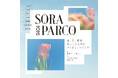 屋上マーケットイベント「SORA PARCO 2026」5/22（金）から2週連続開催！人気洋菓子店やパン屋、花屋、雑貨屋など約30店舗が出店～ワークショップやライブイベントなども開催